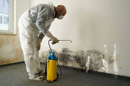 Mold Remediation Thumbnail